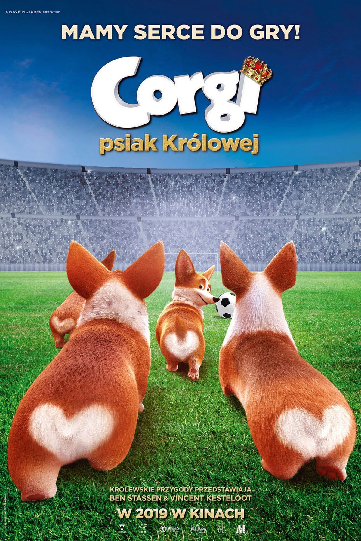 Corgi, psiak królowej